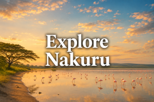 Discover verified Nakuru and Naivasha getaways and short stays with My Stay