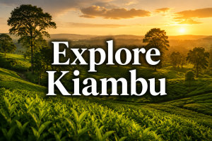 Find your refreshing Kiambu getaway and short stays with My Stay - Refreshing Escapes.